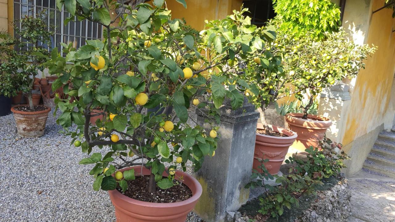 B&B Villa Sant'Anna Bérgamo Exterior foto