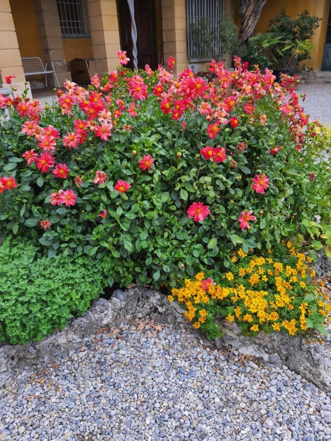B&B Villa Sant'Anna Bérgamo Exterior foto